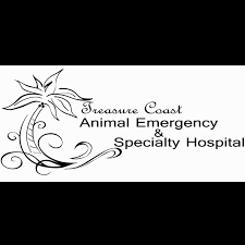Emergency Veterinarian Treasure Coast Animal Vero Beach Fl Furwork