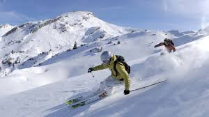 Ski, long narrow runner attached to the feet and used to glide on snow or water; Skiing Wikipedia