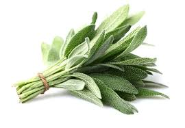  فوائد و أهمية عشبة الميرامية