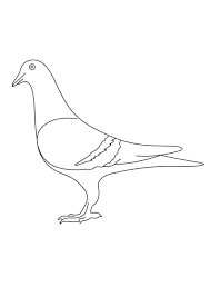 Free printable coloring pages and book for kids. Coloring Pages Free Printable Pigeon Coloring Pages For Kids