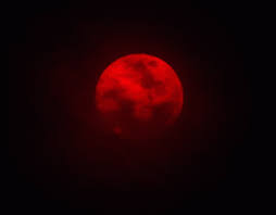 Free for commercial use no attribution required high quality images. Red Moon Blood Moon Gif Redmoon Bloodmoon Moon Discover Share Gifs