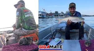 Minyak ikan untuk kucing yang bagus itu sebenarnya ada banyak yang dijual dipasaran tapi kita disini bukan hanya akan membahas berapa harga dan apa minyak ikan dan vco ( virgin coconut oile ) merupakan salah satu jenis multivitamin kucing yang banyak mengandung omega 3 dan berbagai. Hajat Hati Nak Tangkap Ikan Di Sungai Tapi Terpancing Kucing Pula Nasib Baik 2 Abang Di Rumah Sudi Terima Sauk Jadi Ahli Baharu Viral Mstar