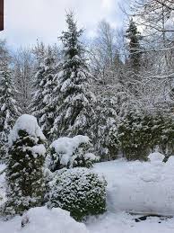 Check spelling or type a new query. Am Kahlen Asten Astenkick Winterberg Deutschland