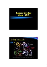 Reseptor Tyrosine Kinase Rtk