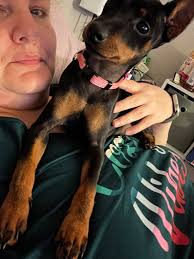 30/2025 Mikey and Minnie sweetheart cafe,Ceaco 1000 части