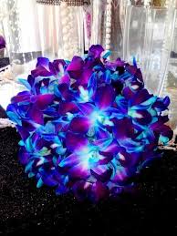Orchid Bouquet Wedding Flowers Gallery Blue Wedding Bouquet Orchid Bouquet Wedding Blue Orchid Bouquet