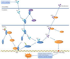 But lung cancer also occurs in people who never smoked and in those who never had prolonged exposure to secondhand smoke. Establishment Of A Strong Link Between Smoking And Cancer Pathogenesis Through Dna Methylation Analysis Scientific Reports