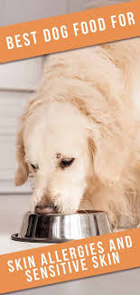 Best Dog Food For Skin Allergies Tips And Reviews To Help You Choose In 2020 Best Dog Food Dog Allergies Best Dog Food Brands