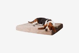 We support our blogging by participating in affiliate programs. 19 Best Dog Beds 2021 The Strategist New York Magazine
