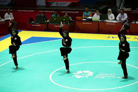 Ketika ilmu bela diri ini mulai menyebar di nusantara. Pencak Silat Arti Sejarahnya Dan Teknik Dasar Halaman All Kompas Com