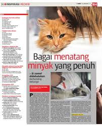 Kandungan asam lemak ini harus diolah dulu agar bisa dimanfaatkan oleh tanaman sebagai pupuk. Bagai Menatang Minyak Yang Penuh Klik