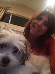 Niko the raccoon gourmet desserts