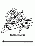 These are really cute and include the state birds, animals, flowers, trees and more hints about each state. State Flower Coloring Pages Woo Jr Kids Activities