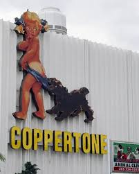 Image result for Light Coppertone 1983 Fedders