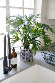 Artificial Plants Can Be Hugely Beneficial For Decorational Purposes This Silk Delicious Mo Artificial Plants Decor Artificial Plants Indoor Artificial Plants