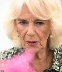 Camilla sports £4,500 Van Cleef & Arpels bracelet at Sandringham Flower  Show with King Charles