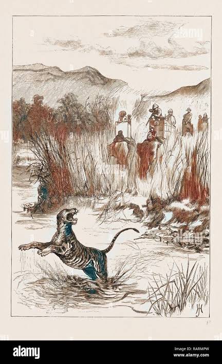 THE PRINCE OF WALES HUNTING IN THE TERAI: SHOOTING A TIGER FROM THE RIVER BANK, 1876. Reimagined by Gibon. Classic reimagined Stock Photo - Alamy