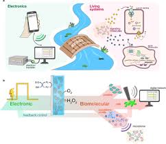 Researchers demonstrate control of living cells with electronics