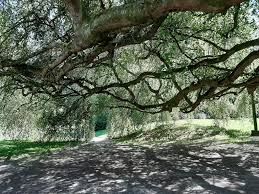 Bayeux Met Kinderen Bezoeken Reistipsmetkids Nl