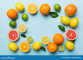 浅色背景上的柠檬橙和柠檬等柑橘类水果的平铺层，制成框架库存照片- 图片包括有构成, 复制: 246758238