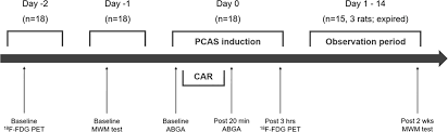 Prognostic Value Of 18 F Fdg Brain Pet As An Early Indicator