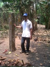 Misterius Batu Tegak Mirip Gunung Padang Ditemukan Di Trowulan