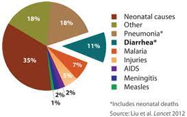 Disease And Impact The Safe Water System Cdc