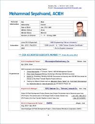 It should work like an elevator pitch: 98 With Personal Information On Resumes Resume Format
