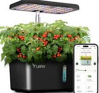 Black / US LetPot Mini 5-Pod Indoor Hydroponic Garden