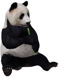 Google 3d Animals Ar Objects Full List Gallery Android Central