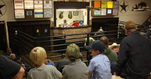 Livestock Auction Pontotoc Mississippi 2011 Documentary Photography Things People Do Photograph By Kathe Documentary Photography Documentaries Pontotoc