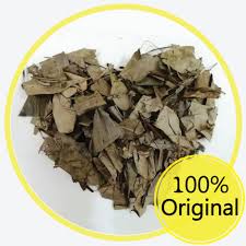 There are many other herbs that a pregnant woman shouldn't take except for the last two. Kacip Fatimah Original Asli Labisia Pumila å¡çªèŠ±è'‚çŽ› Teh Kacip Fatimah Tea Kacip Fatimah Kering Kacip Fatimah Shopee Malaysia