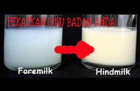 Inilah cairan emas yang memiliki 1001 antibodi untuk bayi. Susu Badan Cair Ni Cara Pekatkan Susu Badan