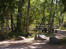 Maple Grove Campground Recreation Gov
