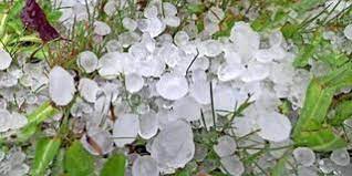 Die drohen auch noch in den kommenden tagen, verrät eine meteorologin. Unwetter In Bayern Hagel So Gross Wie Tennisballe Autoscheiben Und Dachfenster Zerstort Zwei Menschen Verletzt