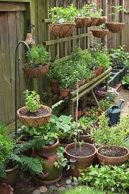 How To Design A Container Garden Small Vegetable Gardens Container Gardening Vegetables Veggie Garden