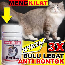 #opetlovecat #groomingkucinghamil #caramemandikankucinghamilcara memandikan kucing hamil supaya tidak keguguran + tutorial dan bimbingan simak vidio nya. Bm15 Makanan Kucing Bulu Lebat Vitamin Bulu Kucing Rontok Bulmax Lazada Indonesia