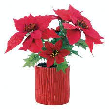 Everlasting Poinsettia Plant Walmart Com Poinsettia Plant Poinsettia Floral Arrangements