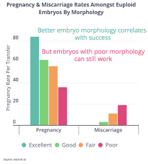 Fertilityiq Which Embryo To Transfer