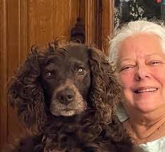 Retiring a loyal hunting dog after 7 years