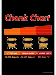Fat Cat Meme Chonk Chart Funny Pet Lover Gift Spiral Notebook