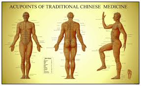 Acupoints Of Traditional Chinese Medicine Anatomical Chart Male