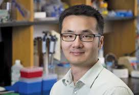 LuLu's Annual Vow Renewal