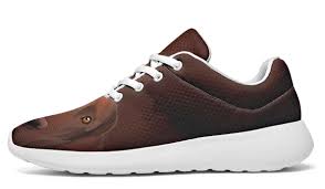 Oct 25, 2021 · 55 oh, i'm very much aware of that fact and the attitude of that religion towards dogs is obscene, an abomination under the eyes of god. Real Chocolate Lab Sneakers Groove Bags