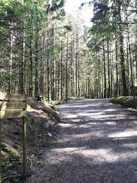 Maybe you would like to learn more about one of these? Wikiloc Tonsberg Tonne Trail