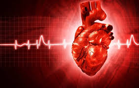 Relevant informasjon om hjerteinfarkt, symptomer på hjerteinfarkt samt forebygging av infarkt. Hjerteinfarkt