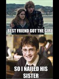 Top 24 Harry Potter Memes Funniest Cutest Cats Harry Potter Jokes Harry Potter Memes Hilarious Harry Potter Memes