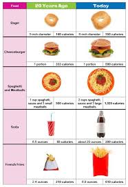 food enthusiasm a new look for nutrition portion