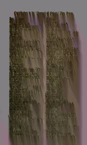 Image result for Eriospermum andongense