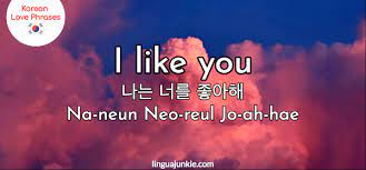 We keep it a secret from everyone! 24 Ways To Say I Like You I Love You In Korean
